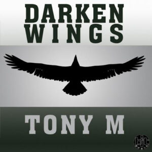 portada del disco makina virtual toni m darken wings